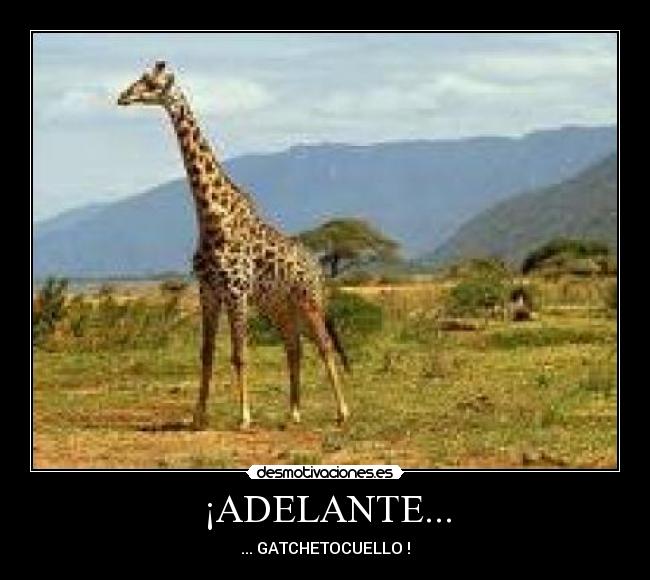¡ADELANTE... -