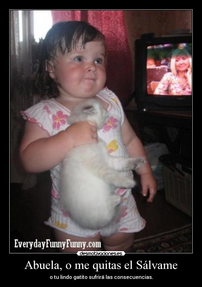 Abuela, o me quitas el Sálvame - o tu lindo gatito sufrirá las consecuencias.