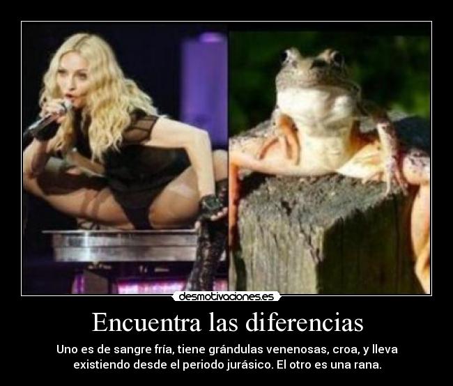 carteles rana desmotivaciones