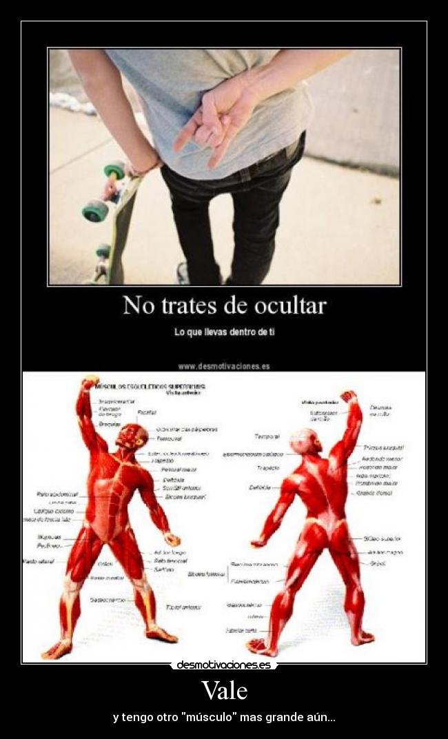 Vale - y tengo otro músculo mas grande aún...