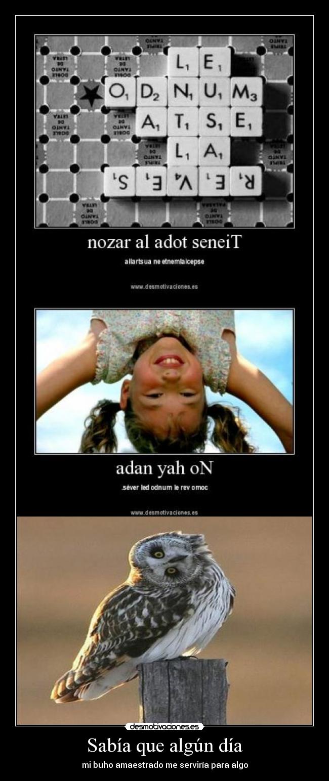 Sabía que algún día -