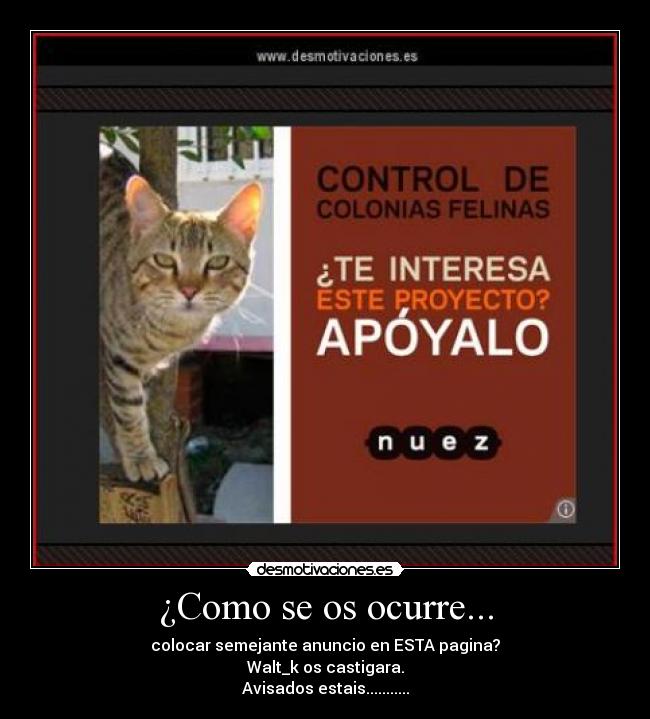 ¿Como se os ocurre... -