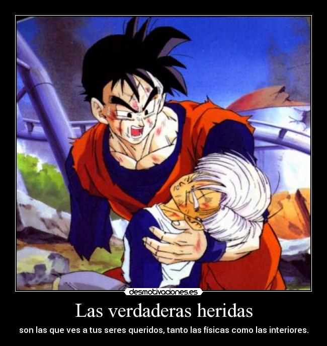 carteles ferdo gohan trunks heridas desmotivaciones