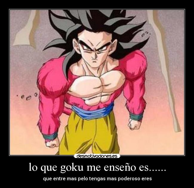 lo que goku me enseño es...... - que entre mas pelo tengas mas poderoso eres