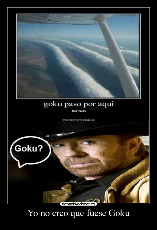 Yo no creo que fuese Goku -