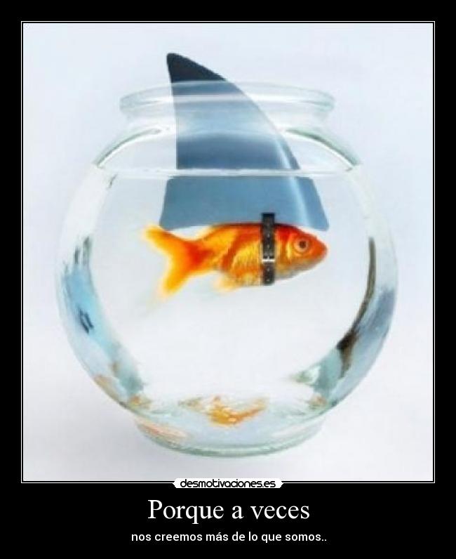 Porque a veces - 
