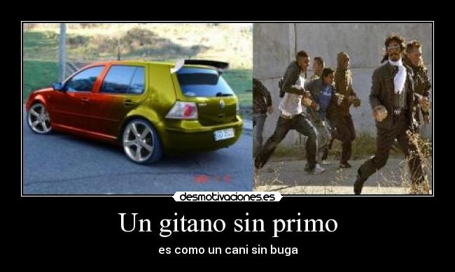 carteles canigitano desmotivaciones