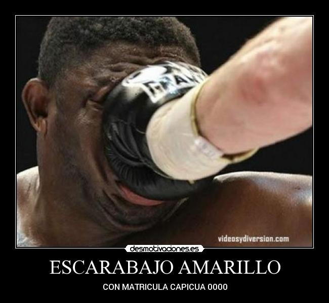 ESCARABAJO AMARILLO -