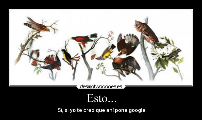 carteles google loco creer pajaros awron desmotivaciones