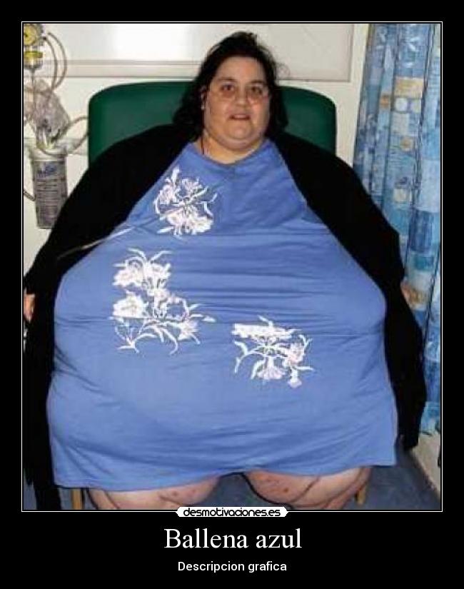 Ballena azul - Descripcion grafica