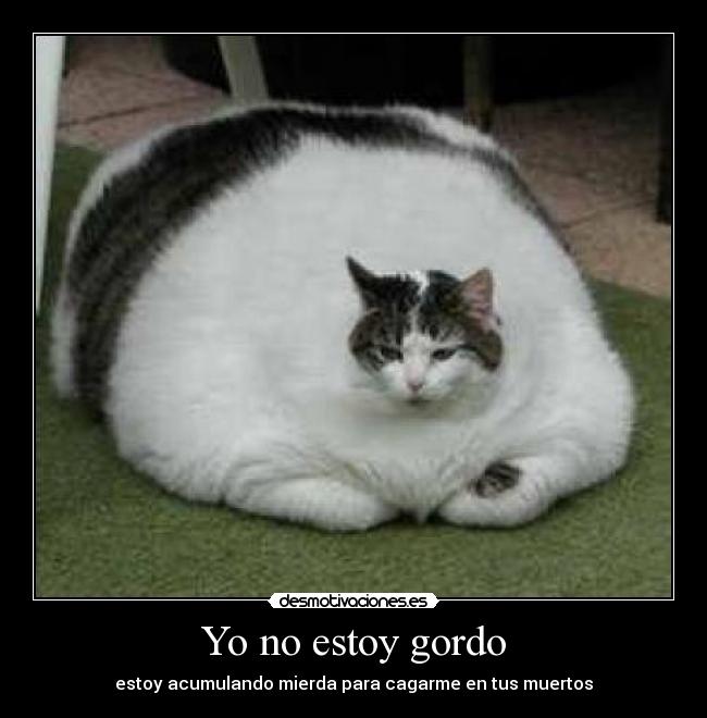 Yo no estoy gordo -