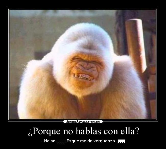 ¿Porque no hablas con ella? - - No se...jijijij Esque me da verguenza...jijijij