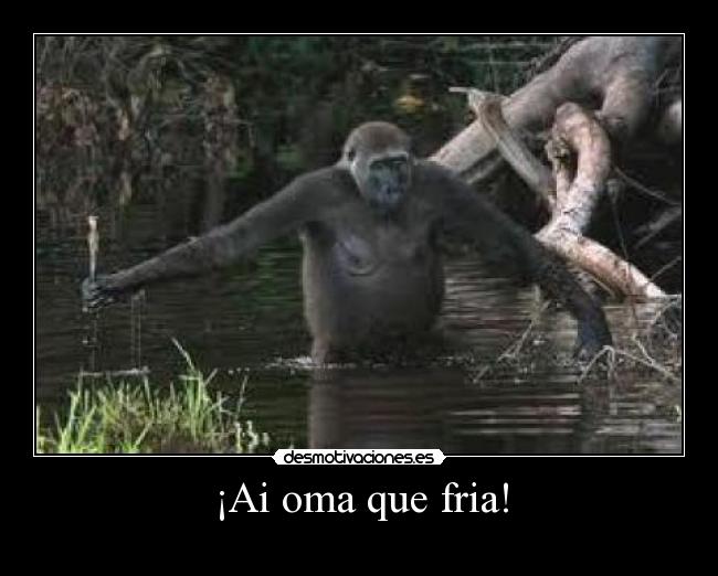 carteles desmotivaciones