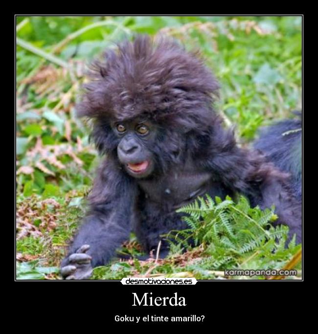 Mierda - 