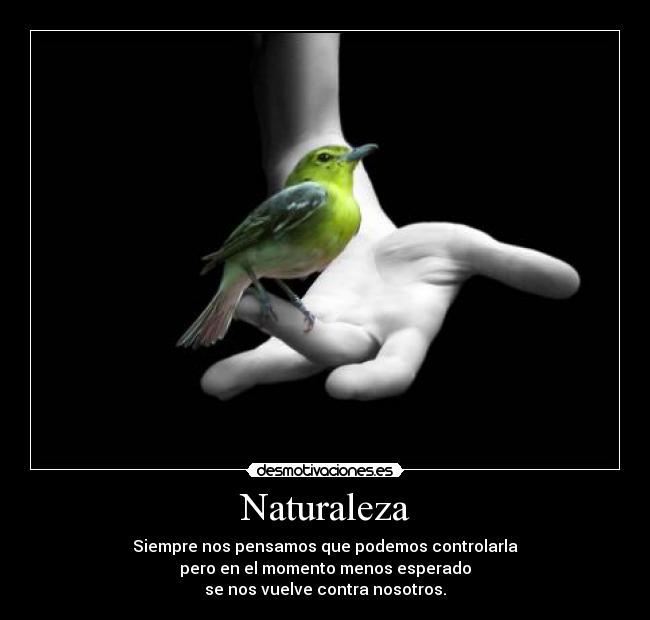Naturaleza -