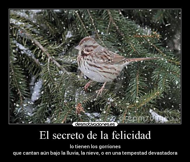 carteles felicidad secreto felicidad los gorriones que cantan bajo lluvia nieve tempestad devastadora desmotivaciones