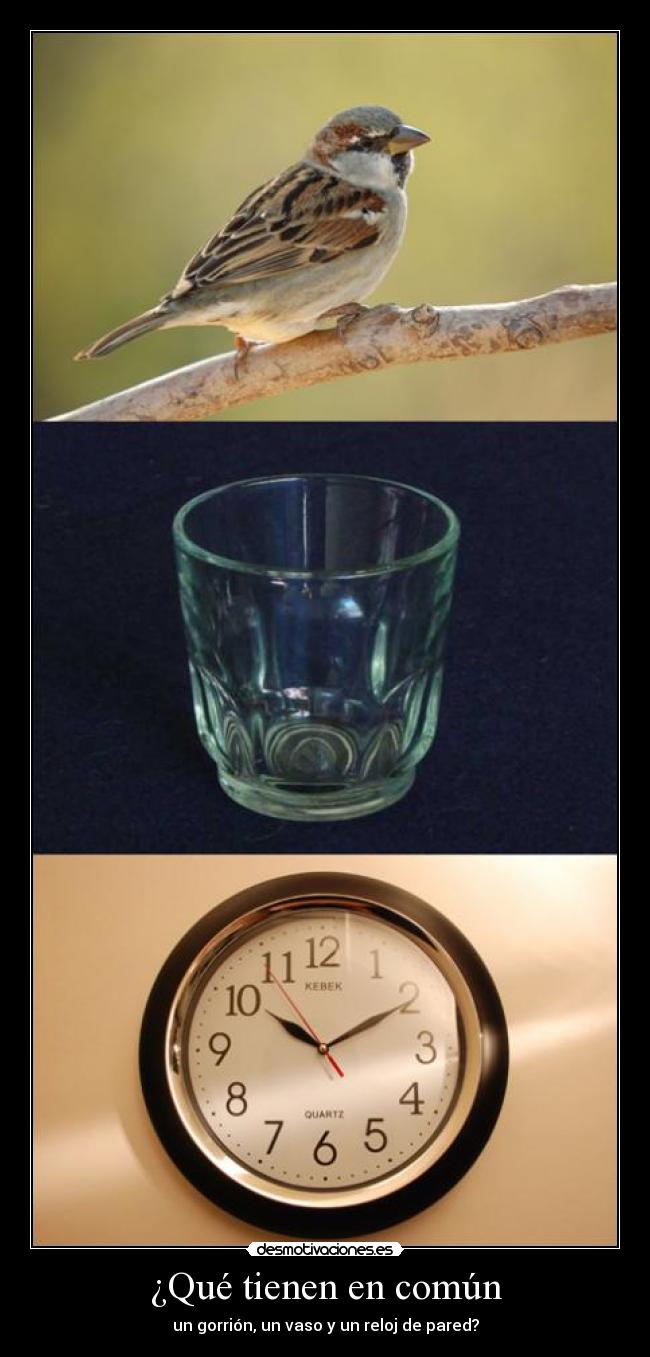 ¿Qué tienen en común - un gorrión, un vaso y un reloj de pared?
