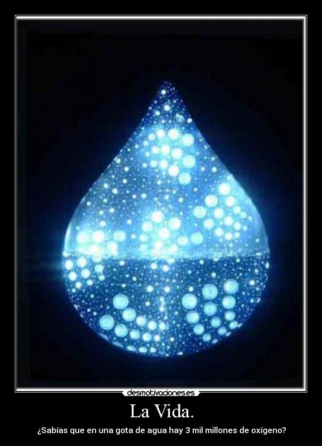 La Vida. - ¿Sabías que en una gota de agua hay 3 mil millones de oxígeno?