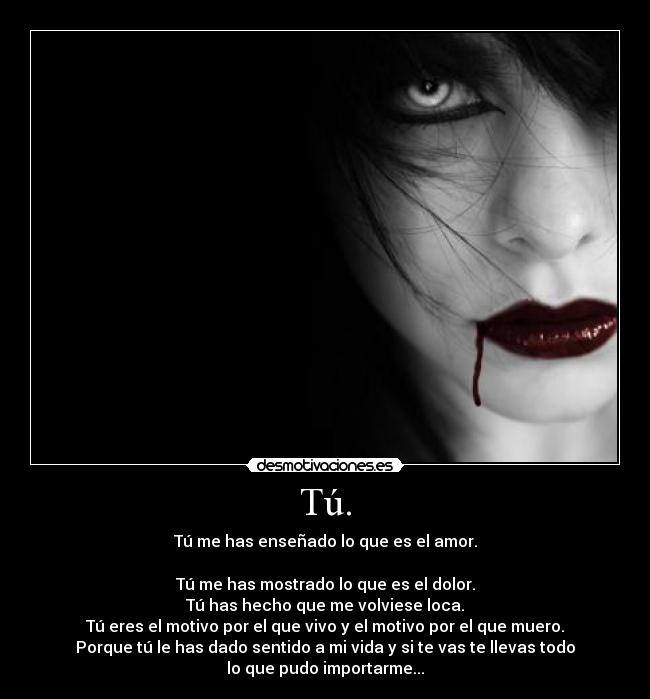 Tú. - Tú me has enseñado lo que es el amor.

Tú me has mostrado lo que es el dolor.
Tú has hecho que me volviese loca.
Tú eres el motivo por el que vivo y el motivo por el que muero.
Porque tú le has dado sentido a mi vida y si te vas te llevas todo
lo que pudo importarme...