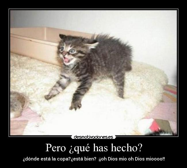Pero ¿qué has hecho? -