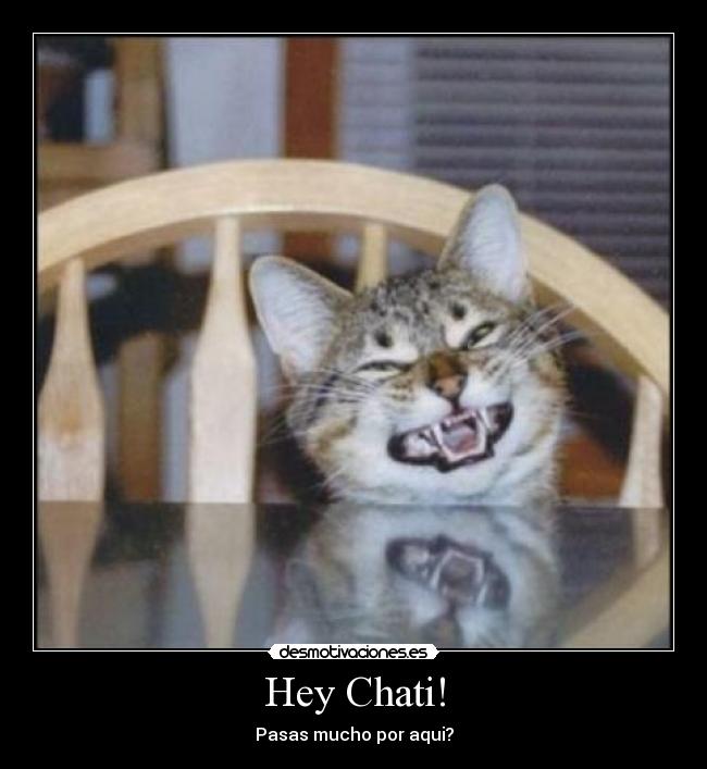 Hey Chati! - 