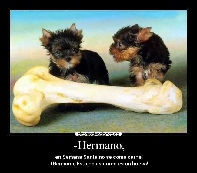 Comer hermanastro Comer hermanastro
