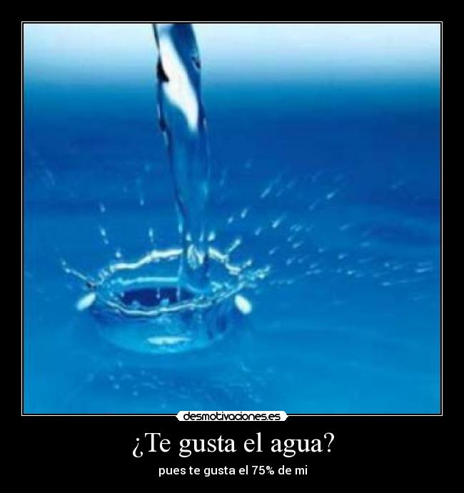 ¿Te gusta el agua? -