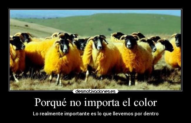 Porqué no importa el color -