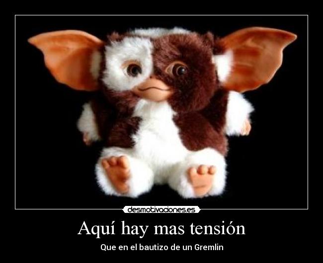 Aquí hay mas tensión - Que en el bautizo de un Gremlin