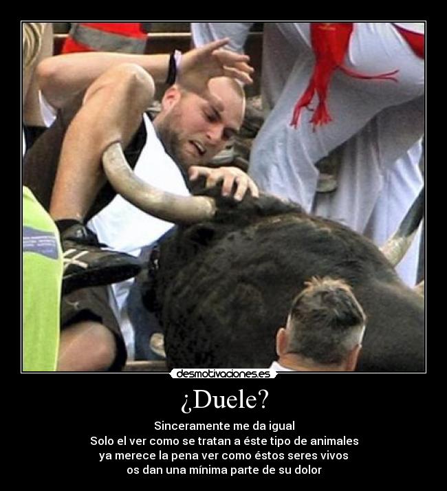 ¿Duele? - Sinceramente me da igual
Solo el ver como se tratan a éste tipo de animales
ya merece la pena ver como éstos seres vivos
os dan una mínima parte de su dolor