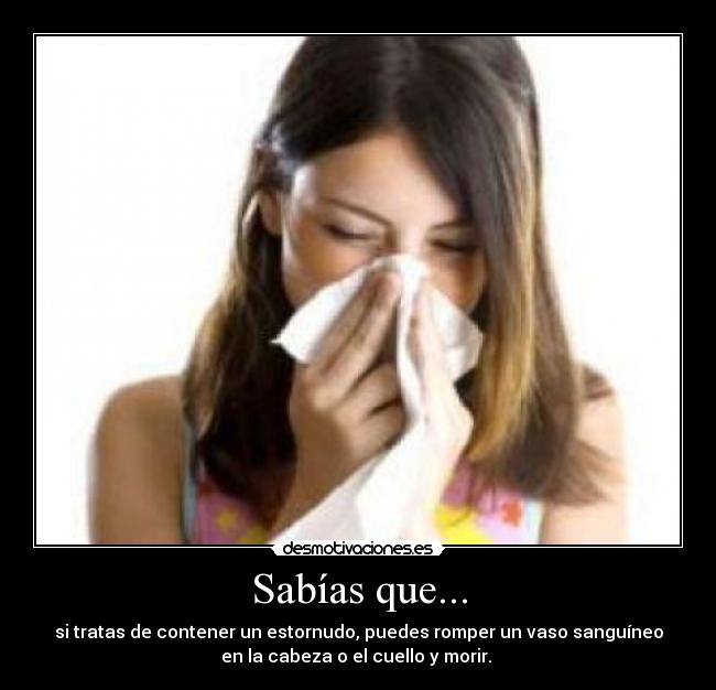 Sabías que... - si tratas de contener un estornudo, puedes romper un vaso sanguíneo
en la cabeza o el cuello y morir.