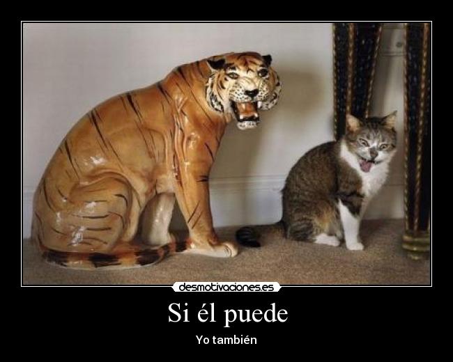 Si él puede -