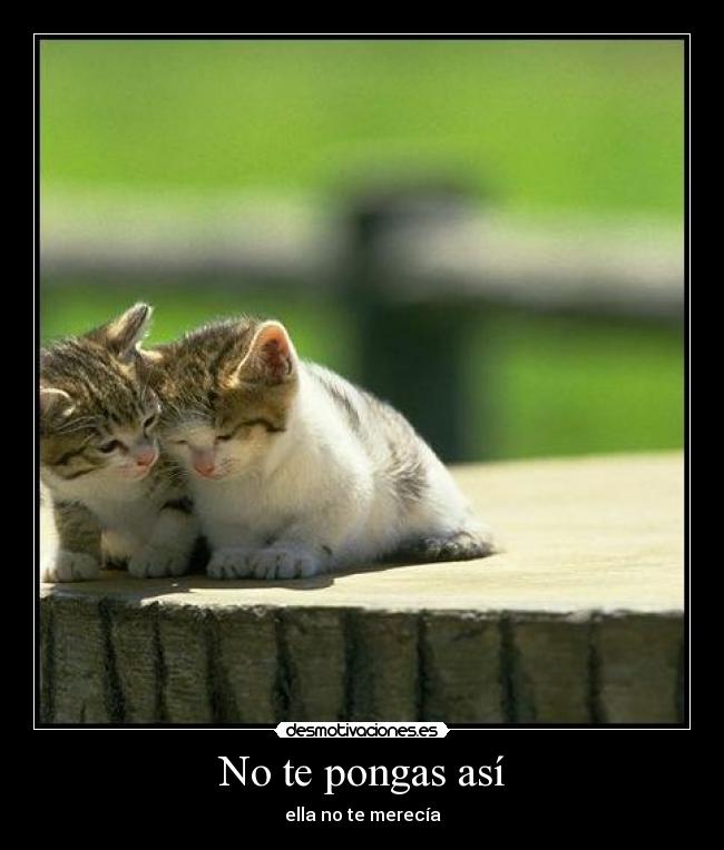 No te pongas así - ella no te merecía