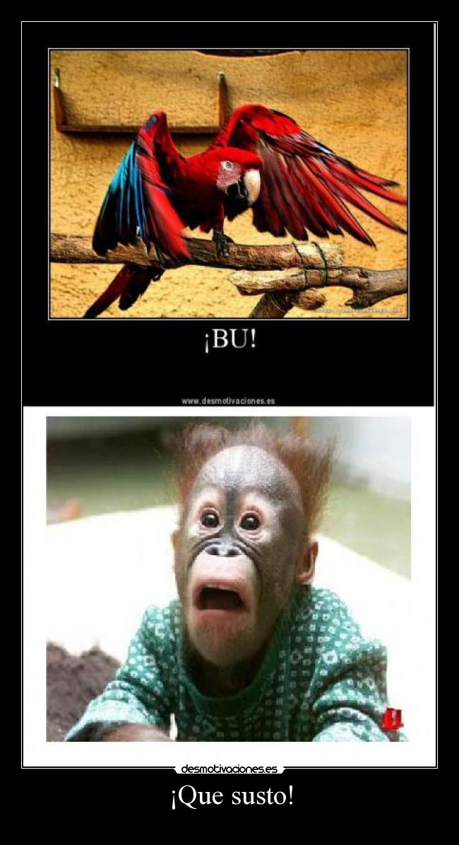 carteles que susto desmotivaciones