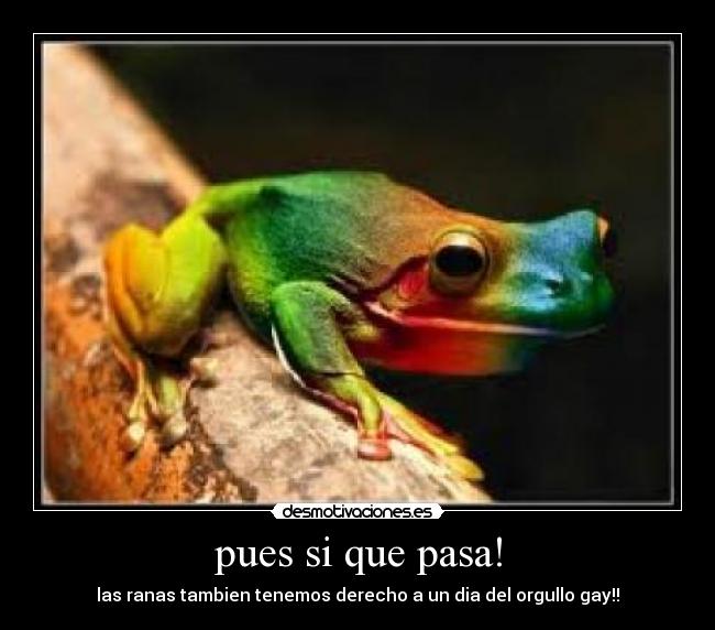 pues si que pasa! - las ranas tambien tenemos derecho a un dia del orgullo gay!!