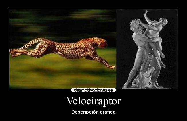 Velociraptor - 