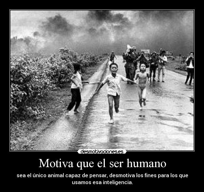 Motiva que el ser humano - sea el único animal capaz de pensar, desmotiva los fines para los que
usamos esa inteligencia.