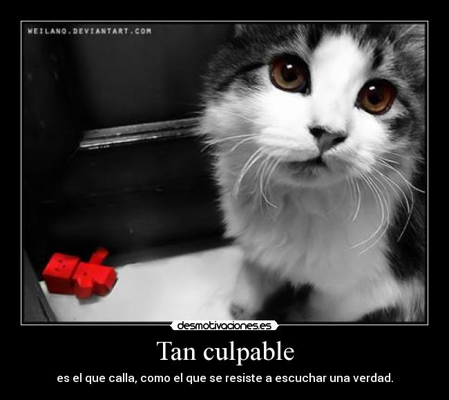 Tan culpable - 