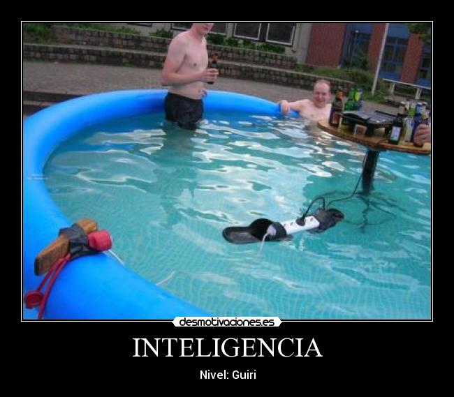 INTELIGENCIA - Nivel: Guiri