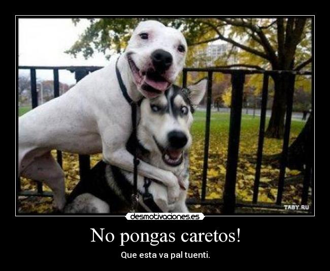 No pongas caretos! - Que esta va pal tuenti.