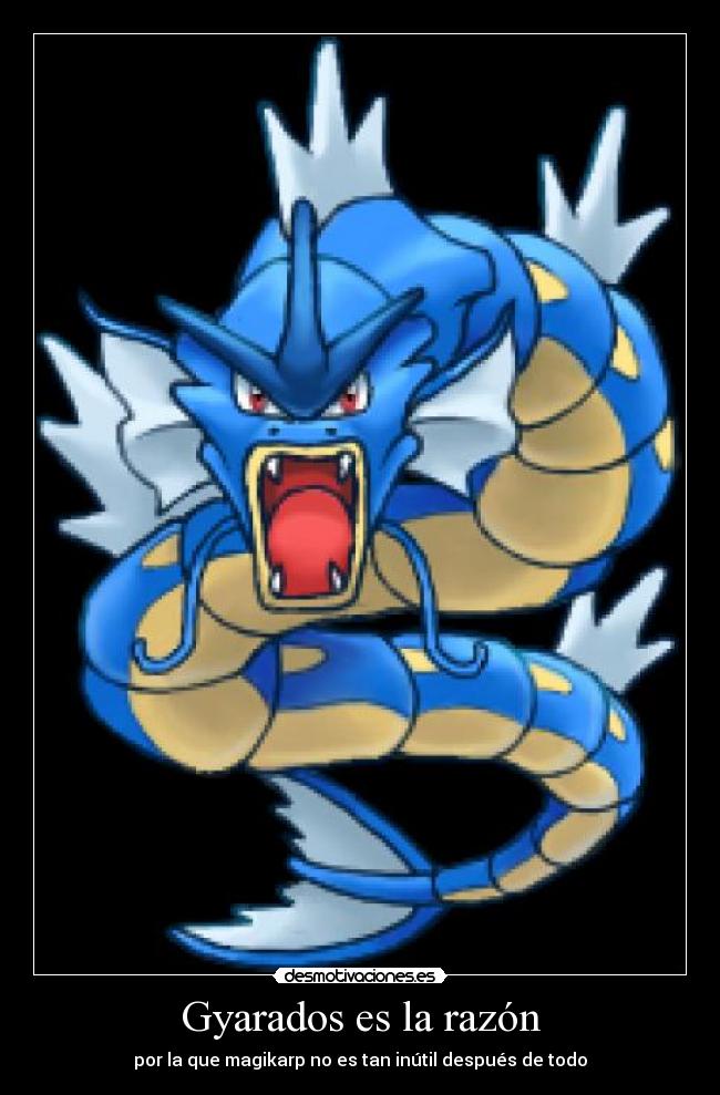 Gyarados es la razón - 