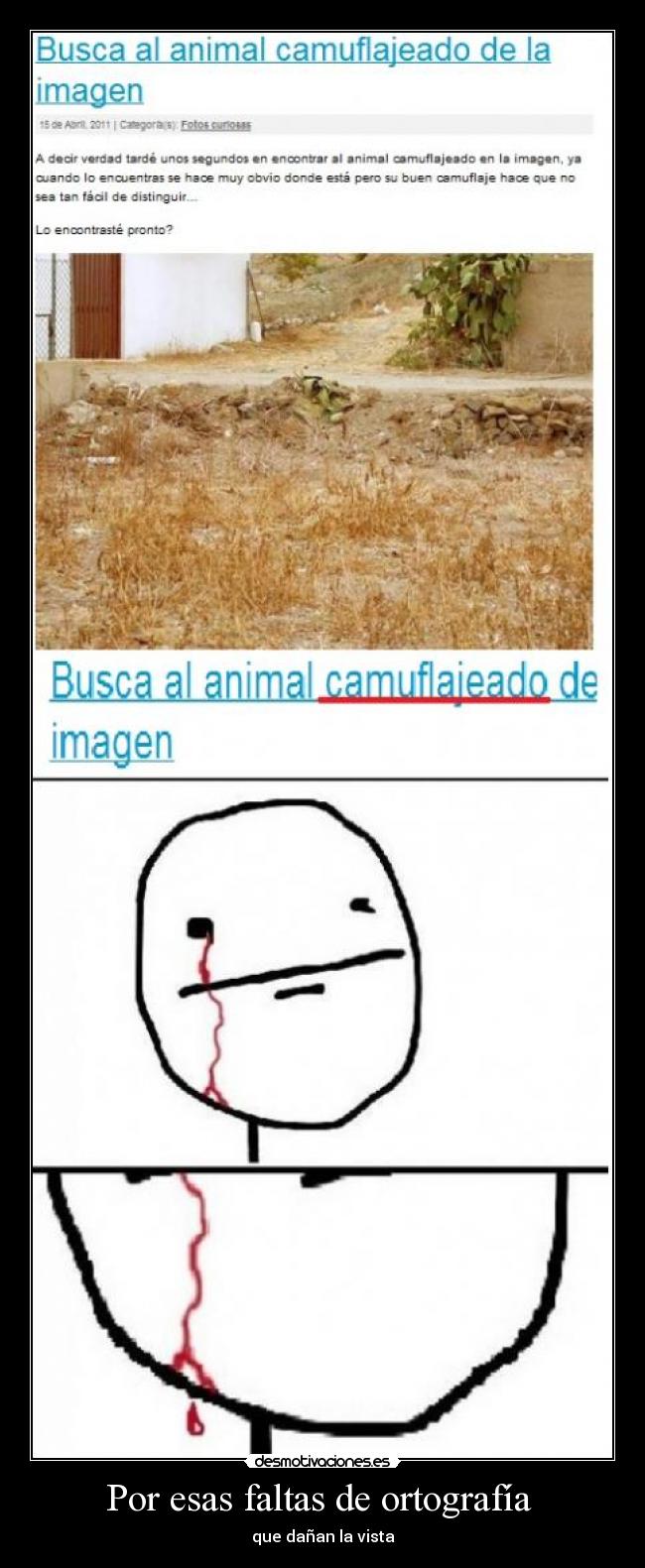 Por esas faltas de ortografía  - 