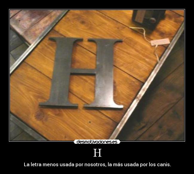 H - La letra menos usada por nosotros, la más usada por los canis.