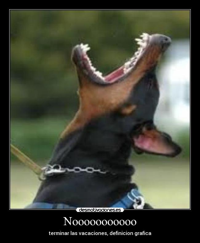 carteles  desmotivaciones