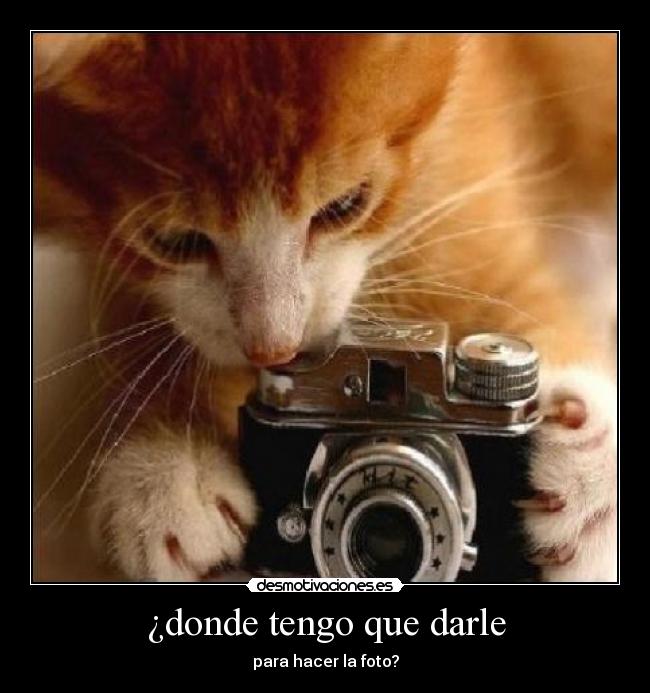 ¿donde tengo que darle -