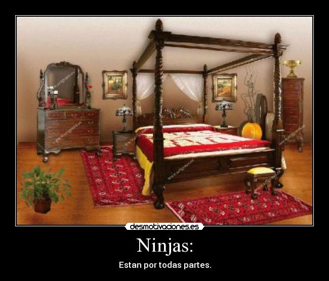 Ninjas: - Estan por todas partes.