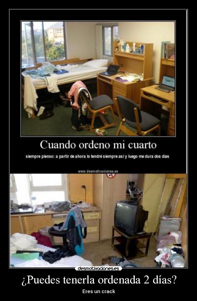 carteles habitacion desmotivaciones