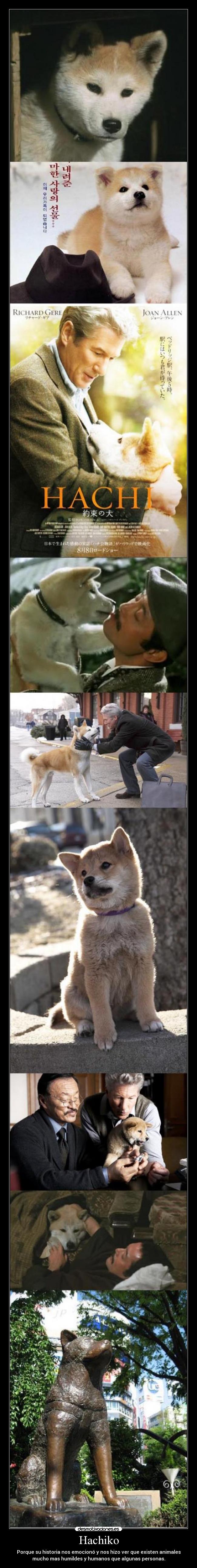 Hachiko -