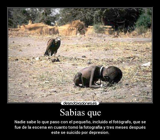 carteles sabias quenadie sabe que paso con pequeno incluido fotografo que fue escena desmotivaciones