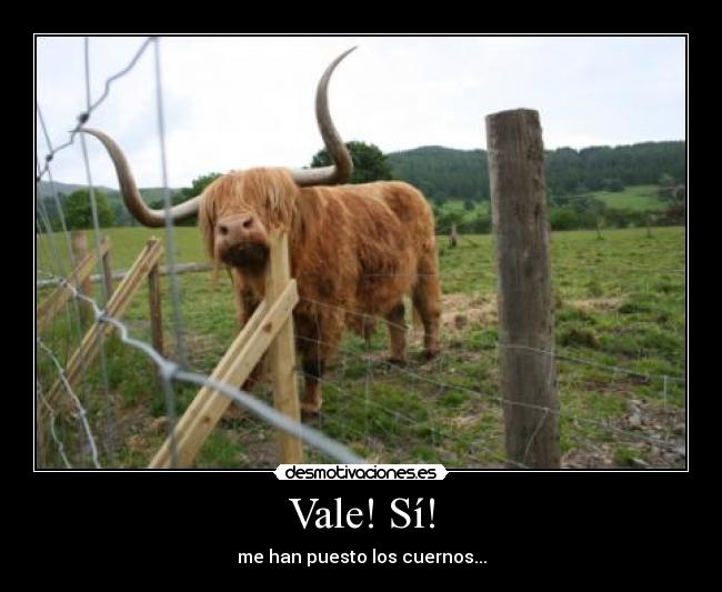 Vale! Sí! - 